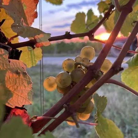 Bed & Breakfast Schieferberg - A L'ancien De 3*